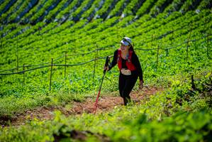 BIB: 
                            <button type="button" onclick="openModal(19162739)" class="btn btn-primary btn-sm float-right btn-popup" data-toggle="modal" data-target=".modal-high-quality">
                        <i class="fas fa-shopping-cart"></i> Add to Cart
                    </button>
                                            <button type="button" onclick="isThisMe(19162739, true)" class="btn btn-success btn-sm float-right btn-popup btn-isme hidden" data-toggle="tooltip" data-placement="bottom" title="นี่คือรูปของคุณใช่ไหม คลิกที่นี่เพื่อเอาเข้าอัลบั้ม">
                        <i class="fas fa-plus"></i> Add to album
                    </button>
                    <button type="button" onclick="isThisMe(19162739, false)" class="btn btn-warning btn-sm float-right btn-popup btn-isnotme hidden">
                        <i class="fas fa-ban"></i> Remove from album
                    </button>